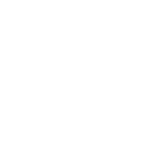 SPO document icon