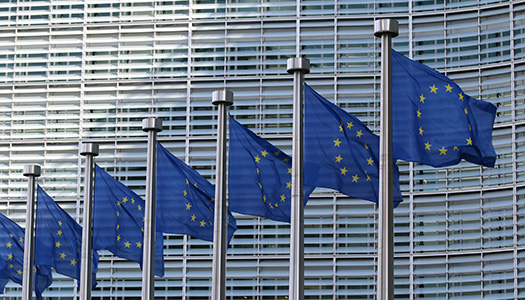 ESRS: A New Chapter in Sustainability Reporting ESRS: A New Chapter in Sustainability Reporting
