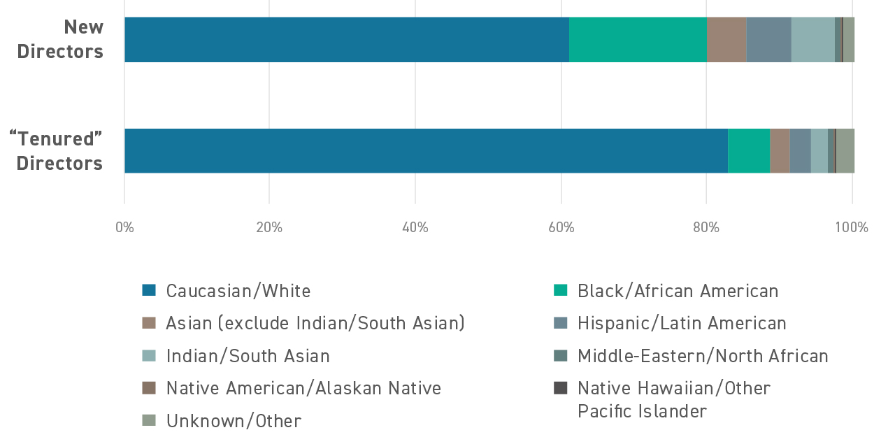 ics_who-are-the-new-directors-ethnicity