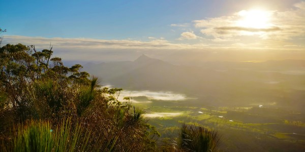 Header Image Global interest rises in ISSB Standards for Sustainability Reporting