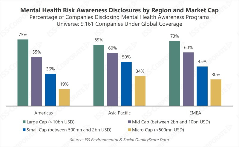 Chart of Mental Health Risk Awareness Disclosures by Region and Market Cap Mental Health Management in the Workplace Risk Awareness Disclosures by Region and Market Cap