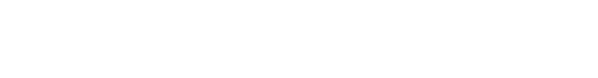ISS LOGO